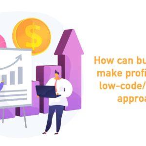 How can businesses make profits with a low-code or no-code approach?